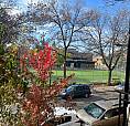 Metro Beaubien - Little Italy, 2 Bedroom, Across From A Parc