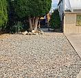 Lot  For  Rent