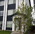 Modern 3+Bd 2 Car Garage Flexible Lease Options Available Sept 1