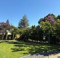 Looking For An Investment Home In Kelowna?