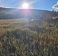162 Acre Farm Property In Unorganized Township