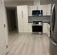 Beautiful 1 Bedroom Basment Suite - Available Asap