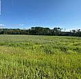 5 Acre Parcels. Minutes South Of Gp