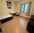 2 Bed - 1 Bath Apartment | 10 Min Walk To Western University