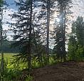 Paradise River Lots