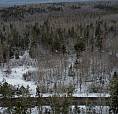 9 Acre Private Building Lot In Heart Of Annapolis Valley