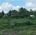 Cabin For Sale