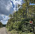 Sutherlands Lake Cottage Lot