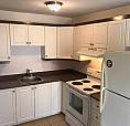 Appartment For Rent