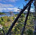 Ocean View Land For Sale