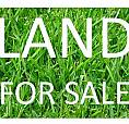 Land For Sale