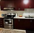 1 Bed + 1 Bath Basement (brampton)