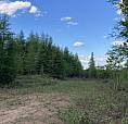 1.11 Acre Sandy Stream Road Howley Cottage Area 