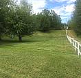 Incredible, Ready To Build Lot, Pine Lake Alberta Look At Video