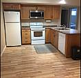 2 Bed 1 Bath Basement For Rent