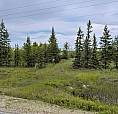 Teulon Manitoba