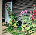 Suite/uaarea*5mintosouthgate Mall Lrttoua Compus Nait/macewan/dt