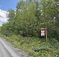 9.5 (10) Acres In Rusagonis / Lincoln 