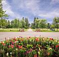 Sunset Memorial Garden Plots
