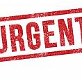 Urgent Looking For A Studio Or 1bdr Apartment 