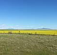 20acre Hobby Farm! Privacy And Seclusion! 5bd, 3 Bath, 2884sq Ft