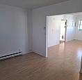 1 Bedroom Apartment [895$/Mo] Appartement 3 1/2