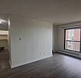 Freshly Updated 1-Bedroom, Utilities Included
