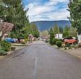 For Sale In Tapedera Estates, Harrison Mills,Bc