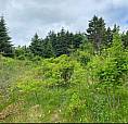 1 Acre Of Land In Beautiful Chapels Cove