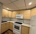 Renovated Lake Bonavista Basement Suite