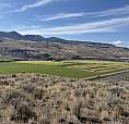 7 View Acreages For Sale 32 Mins W Of Kamloops 8, 10, 81 Acres