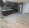 Basement Suite