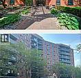 Condo For Rent