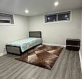 Basement For Rent