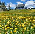 A Rare Opportunity On The Bay Of Fundy In Margaretsville, Ns