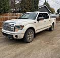 2014 F150 Platinum 5.0