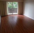 Spacious 1br Apartment In Burnaby Highgate
