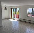 Large, Bright 1 Bedroom Apartment For Rent