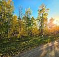 Lakeside Acreages & Town Residential Lots— St. Brieux, Sk
