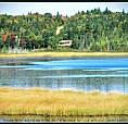 15.3 Acres Land For Sale In Ogden On The Water