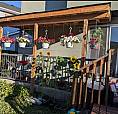 1 Bedroom Basement Apartment