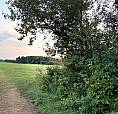 Looking For Country Home With Acreage