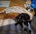 Looking For 3 Bedroom 