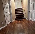Basement Apartment