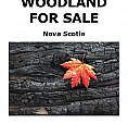 11.2 Acres Woodland For Sale