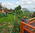 Ohato 3 Bedroom On Double Lot