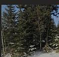 Birch Beach Shuniuh Property