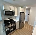 Newly Renovated 1 Bedroom 1 Bath Suites, All Utilities Included