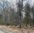 1.2 Acre Lot Molega Lake North