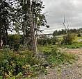 Pond Side Property For Sale (Price Reduced) Near Lethbridge, Nl